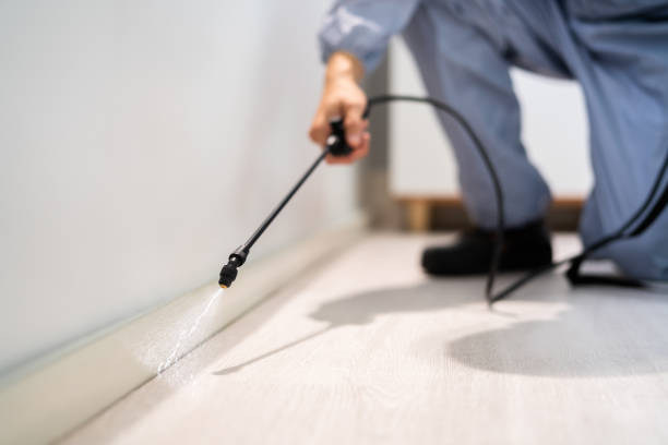 Licensed Pest Control service in Stagecoach, NV - Show Me Pest Control